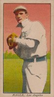 Walter Nagle