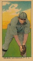 Bert Delmas
