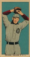 Harry Nelson