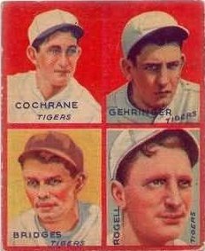 Tigers Panel (#4)