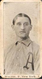 Snake Wiltse
